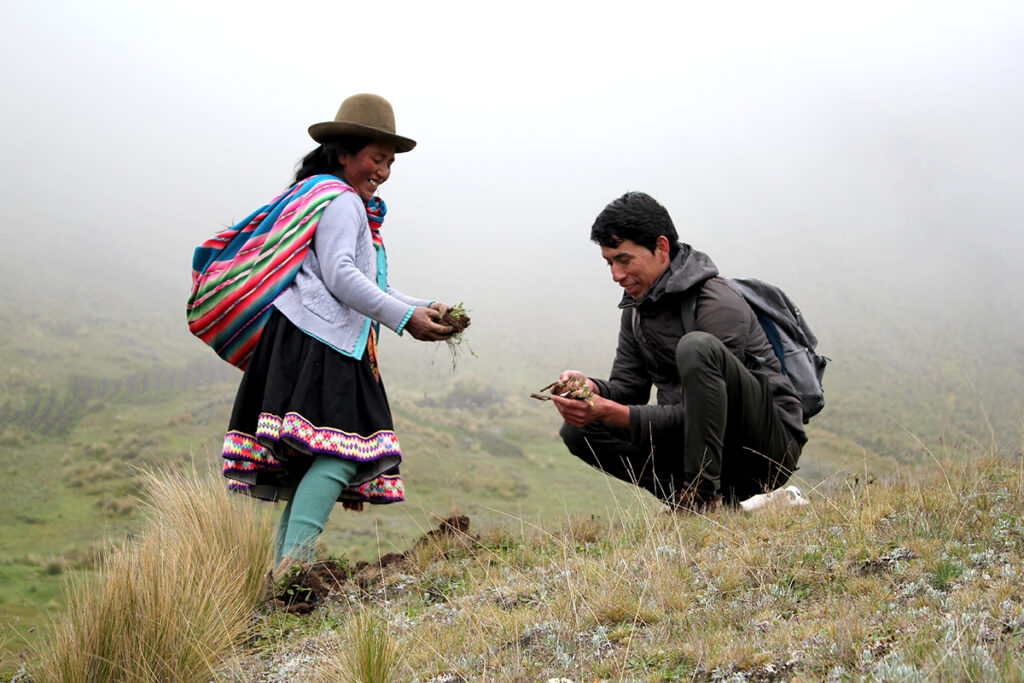 Cordillera. Manuel Contreras explora las montañas recordando su infancia buscando insumos naturales para desarrollar sus bebidas.