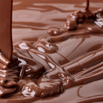 Foto de TODO SOBRE CHOCOLATE