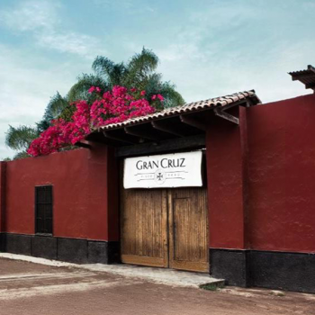 Foto de VERANO EN BODEGA GRAN CRUZ