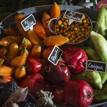 Foto de FORO MUNDIAL GASTRONÓMICO EN PERÚ