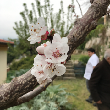 Foto de MAURO COLAGRECO: VIVIR EN EL LÍMITE