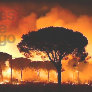 Foto de DÍAS DE FUEGO