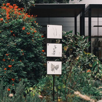 Foto de UN JARDÍN BOTÁNICO EN CASA TÚPAC