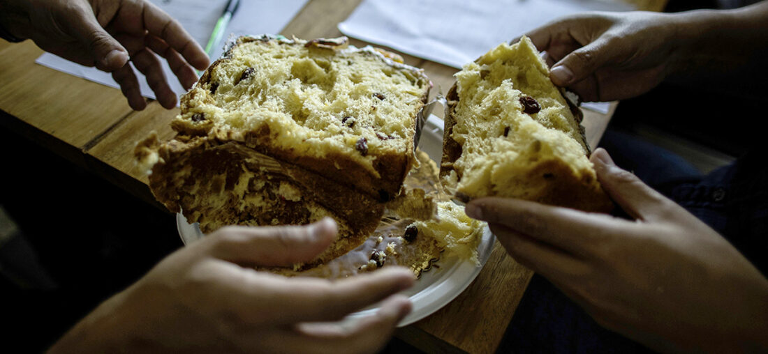 CATA TRINCHERA: ¿CUÁLES SON LOS MEJORES PANETONES CLÁSICOS ARTESANALES?